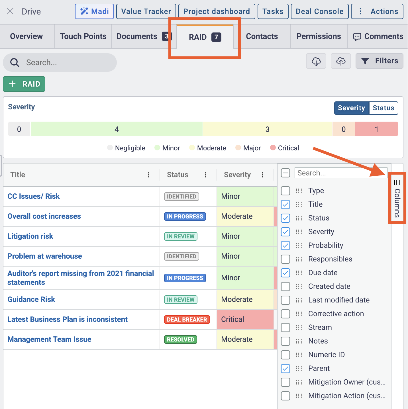 Custom Fields and Grid View for RAID Log